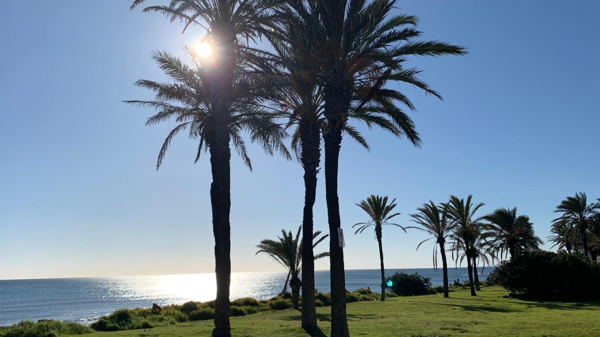 Apartment With Side Seaview 60 Meters From Sea Torrevieja Ngoại thất bức ảnh